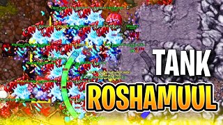 Tankando os oponentes em Roshamuul  Tibia GameLab [upl. by Akina]