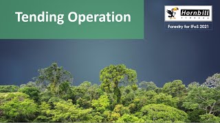 16 IFoS2021  P1SA  Silviculture  Tending Operation [upl. by Nanoc]