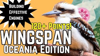 Wingspan Strategy  How To Play and Build Effective Engines 120  Points [upl. by Kimon]