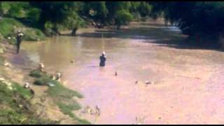 VIDEO IMPRESIONANTE SALTEÑOS PESCANDO EN LÍQUIDOS CLOACALES ARROJADOS POR AGUAS DEL NORTE COSAYSA [upl. by Beatrix]