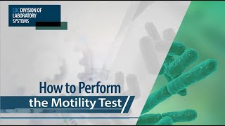 How to Perform the Motility Test [upl. by Ettenuj993]