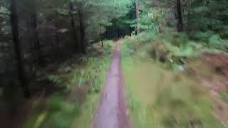 Dalby Forest Red Route [upl. by Aihsatan179]