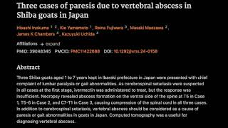 41 Three cases of paresis due to vertebral abscess in Shiba goats in Japan [upl. by Aicile]