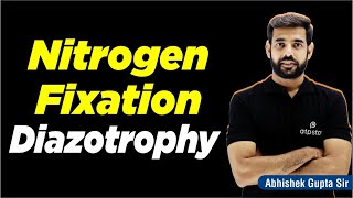 Biological Nitrogen Fixation  Diazotrophy   NEET Biology  ATP Star Kota [upl. by Waverly370]