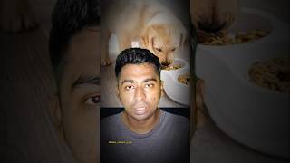 Dog saved girl life😱 dog shorts pets animals love girl india viralvideo [upl. by Sivatnod]