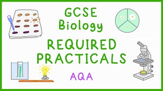 All BIOLOGY Required Practicals  GCSE Science AQA [upl. by Gothard134]