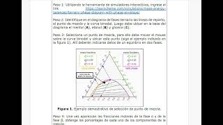 Paso 3 – Equilibrio de Fases [upl. by Amie]