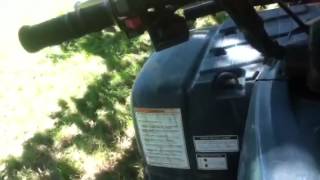 Yamaha timberwolf 250 4x4 overview [upl. by Abshier]