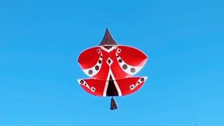 rawalpindi basant mashup 2024 some big kites trending [upl. by Giverin]