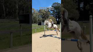 Tack up and jump Winnie with me working through my mental block PART 2 showjumping showjumper [upl. by Netsyrc]