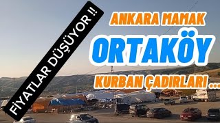 ANKARA MAMAK ORTAKÖY  KURBAN ÇADIRLARI  Küçükbaş ve Büyükbaş Fiyatları [upl. by Benkley184]