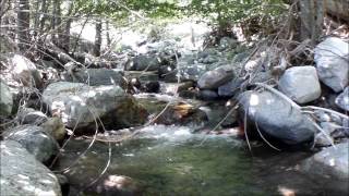 Epic Trout Fishing in San Gabriel MountainsBest Video HD [upl. by Odella]