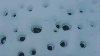 Cryoconite holes Greenland [upl. by Noemis]