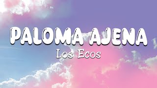 Los Ecos  Paloma Ajena Letra\Lyrics [upl. by Nalad332]