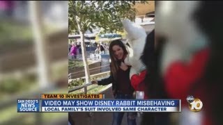 Video appears to show Disneyland character misbehaving [upl. by Rambert]