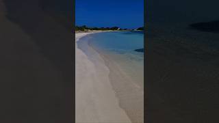 nature aruba youtubeshorts viralvideo 🇦🇼🌺💙 [upl. by Bert]