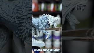 SPACE WOLVES GREY  CONTRAST CORNER paintingminiatures tutorial howto speedpaint spacemarines [upl. by Ahseekat]