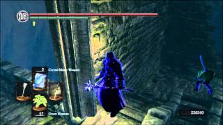 Dark Souls PvP  Forest Hunters Power [upl. by Held]