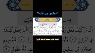 SURAH ALFEEL  سورة الفیل  quran surah allah god shorts islam islamic islamicstatus [upl. by Avehstab529]