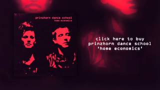 Prinzhorn Dance School quotEducationquot Official Audio [upl. by Celeski]