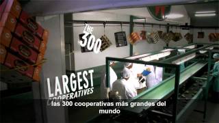 Las empresas cooperativas ayudan a construir un mundo mejor [upl. by Quartet857]