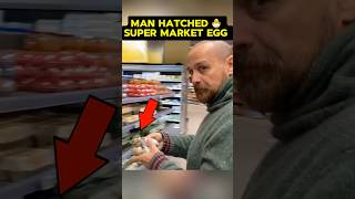 A Man Hatched A Supermarket Egg And Found Something 💔shorts [upl. by Lexerd784]