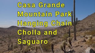 Exploring a Scenic Rocky Trail Discover Cholla and Saguaro Wonders [upl. by Wiskind]