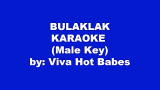 Viva Hot Babes Bulaklak Karaoke Male Key [upl. by Yzeerb776]