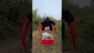 Gorillas Monster Confront Giant Snakes [upl. by Yruoc]