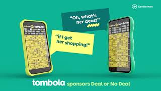 Great Deal  tombola sponsors Deal or No Deal  2024 [upl. by Kassey]