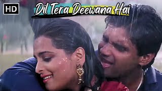 Dil Tera Deewana Hai  Sunil Shetty Shilpa Shirodkar  Kumar Sanu Love Songs  Raghuveer Hit Songs [upl. by Sanfourd]