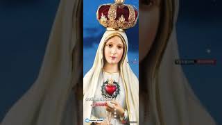 Enikkody Odi Arikilethan Christian Status Video  Holy Mary  Christian Devotional Song [upl. by Logan]