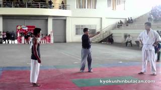 Kyokushin Whitebelt vs Jeet Kune Do [upl. by Ahcsatan]