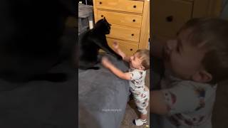 Cats and human cubscat cats cutecat catlover funnycat funnyvideos funnyanimals [upl. by Nacul378]