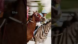 BEST HORSE RACING MOVIES movies topmovies mustwatch horseracing [upl. by Vastah]