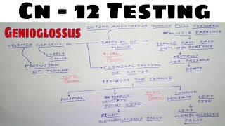 Hypoglossal Nerve Testing  Safety Muscle of Tongue  The Charsi of Medical Literature [upl. by Aikim]