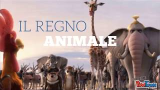 IL REGNO ANIMALE [upl. by Kriste]