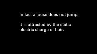 lice and static electricity [upl. by Pedaias]