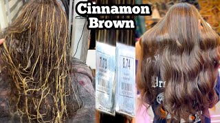 Cinnamon Brown Hair Color Morfose Colors  Full Explanation Salonfact [upl. by Wehner]