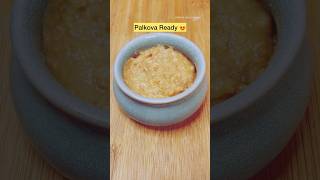 QUICK palkova with condensed milk microwave  10minutesrecipe quick indian shorts dessert [upl. by Aisereht374]