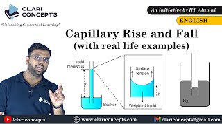 Capillary Rise and Fall explained with real life example English [upl. by Hanleigh]