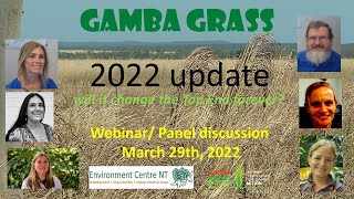 Gamba Grass changing the Top End Forever A 2022 update webinar [upl. by Presber709]