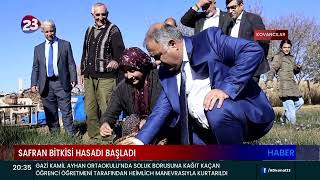 SAFRAN BİTKİSİ HASADI BAŞLADI [upl. by Horst]