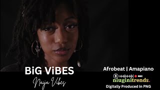 NEW MUSIC VIDEO Big Vibes Naija Vibes  Afrobeat  Amapiano Fusion [upl. by Joice]