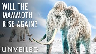 Are Scientists About to Clone a Mammoth  Unveiled [upl. by Shepperd145]