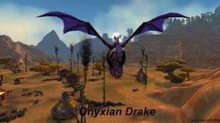 Mount Onyxian Drake  World of Warcraft [upl. by Leslie]