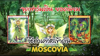 IRO  RORAY  ดันมอสMoscovia จุดฟาร์มเงินยอดนิยมเควสเข้าดัน [upl. by Allicserp]