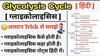 Glycolysis Cycle  Glycolysis Pathway  Carbohydrates Metabolism  Glycolysis in hindi  Glycolysis [upl. by Xylon]