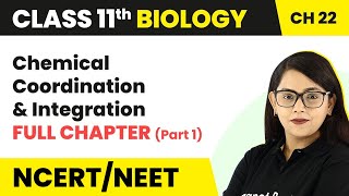 Class 11 Biology Chapter 22  Chemical Coordination and Integration Full Chapter ExplanationPart 1 [upl. by Rabi]