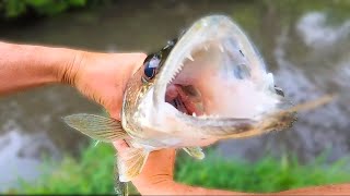 Okoboji Walleye Bank Fishing Elinor Bedell State Park [upl. by Jacquelin]